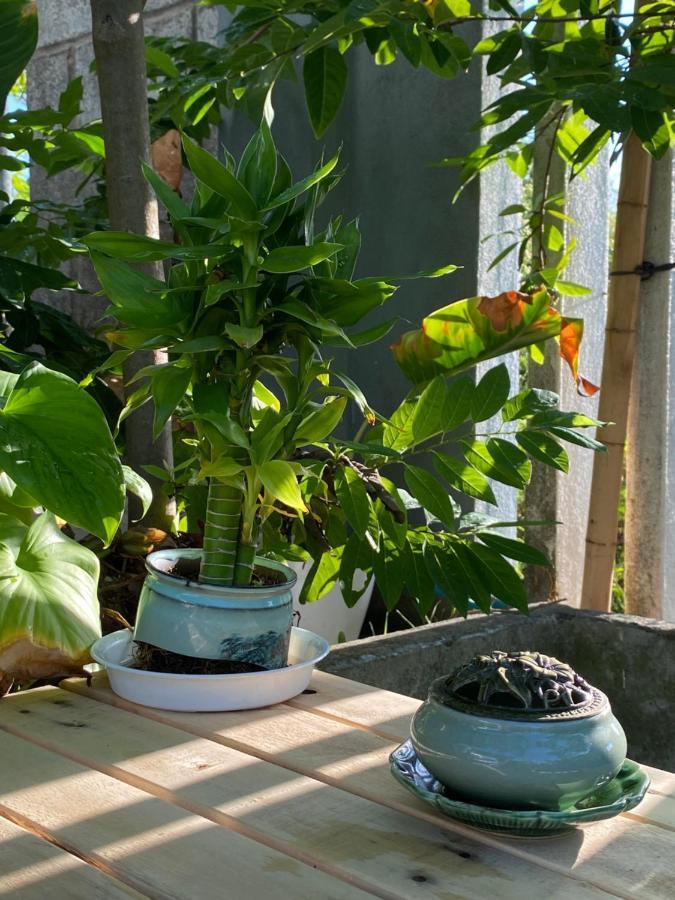 Laoxao Homestay Hoi An Eksteriør bilde