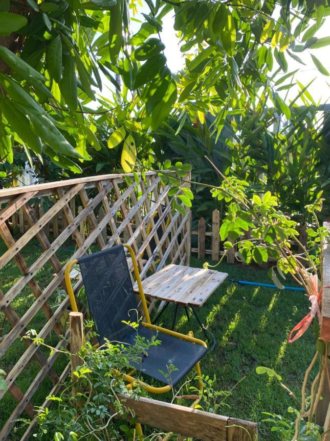 Laoxao Homestay Hoi An Eksteriør bilde