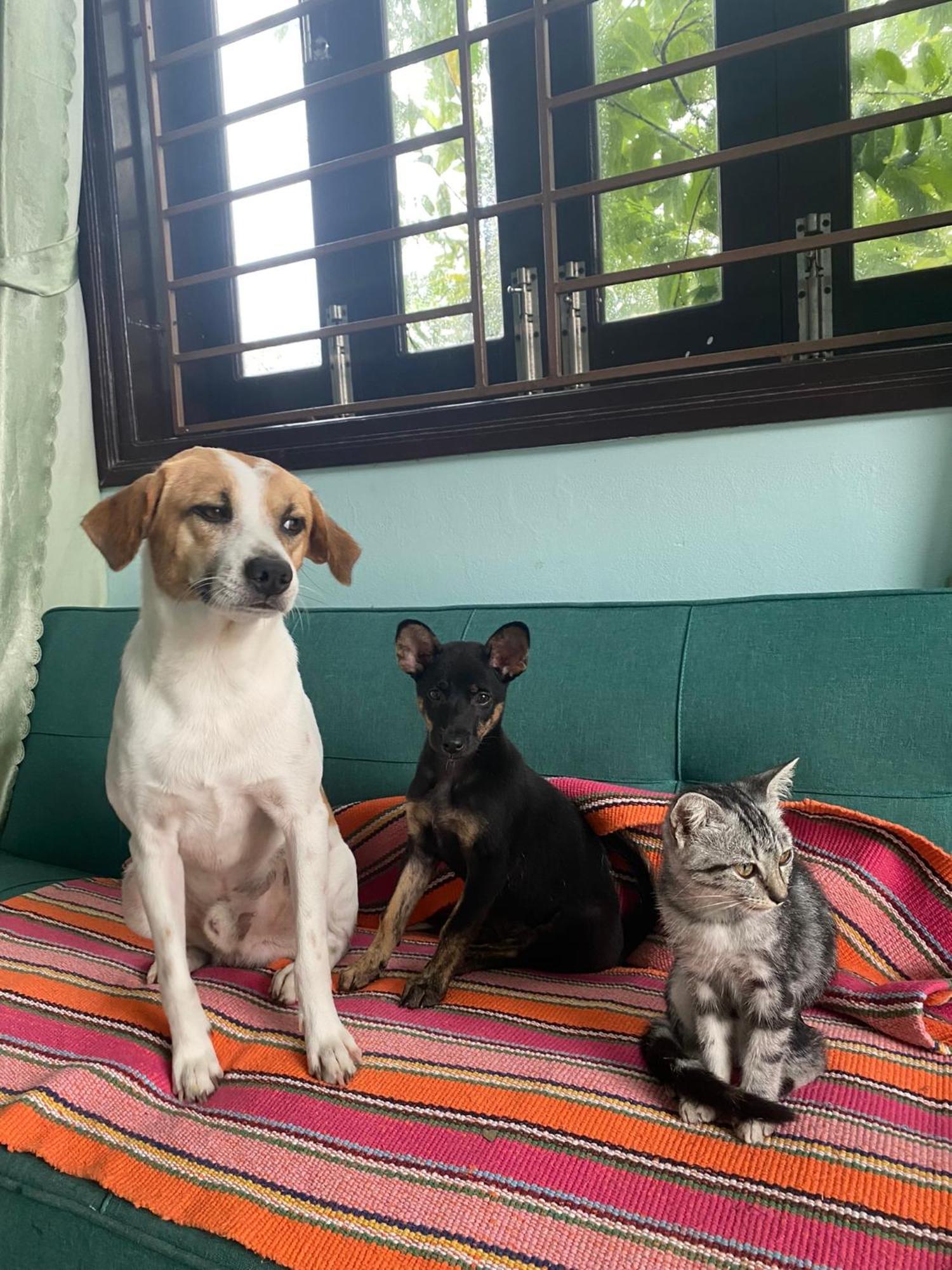 Laoxao Homestay Hoi An Eksteriør bilde