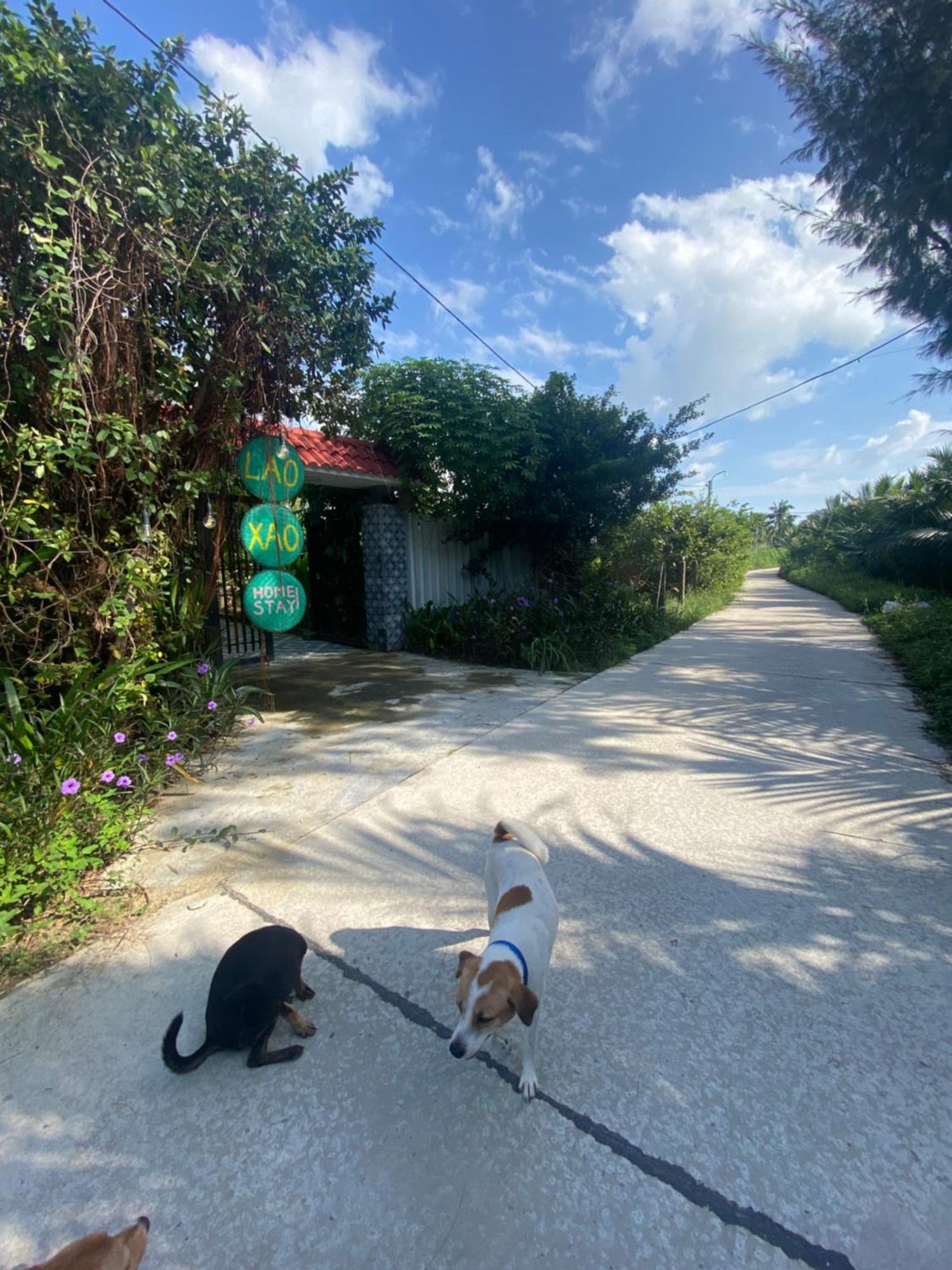 Laoxao Homestay Hoi An Eksteriør bilde