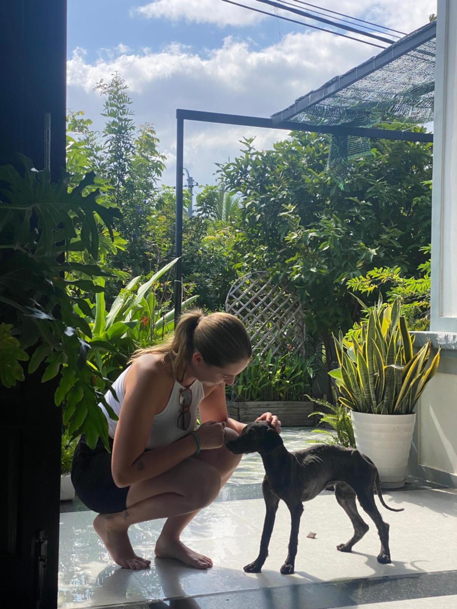 Laoxao Homestay Hoi An Eksteriør bilde